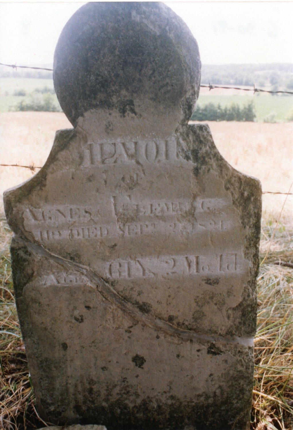  Agnes Kennedy Fleming - 1st wife of Mitchel 