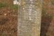 O49723904.jpg