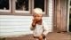 Teddy Regenhardt_Restored