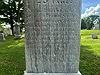3943463.jpg