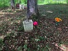 Lewis-Wallis cemetery gravemarker locations