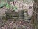 remains of the home of Robert and Sarah Lewis , Lewis Mountain, Marshall, Alabama - photos taken by descendant, William Edward 'Sonny' Lewis