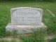 Theodore and Julia Stevenson grave stone