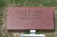 Carl L. Lewis grave marker