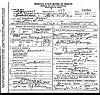 Andrew-Bud-Wallis-Death-certificate-1