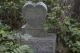 O72108606.jpg