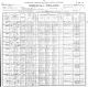 Federal Census 1900 Weed, Otereo County, New Mexico
